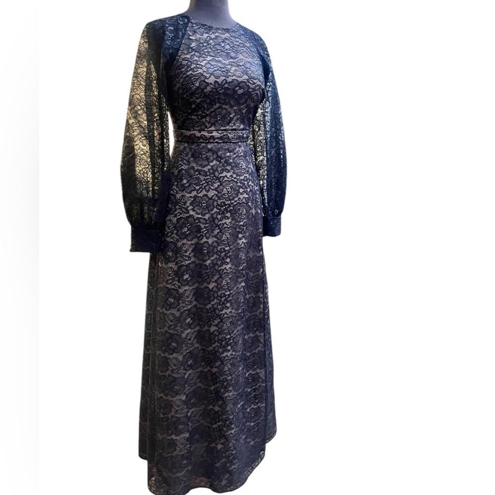 Dress The Population Whimsigoth Romantic Sheer Lace Sleeve Victorian Dress XS